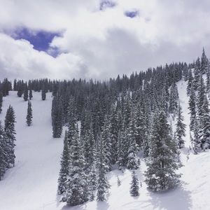 Meet your Posher, Joey